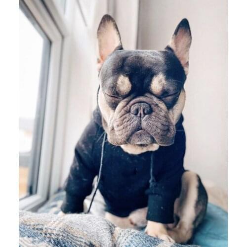 Winter Warm Dog Cotton Hoodies Pet Coat Jacket Sweater Clothes For Small Medium Dogs Schnauzer French Bulldog Pug WSC25