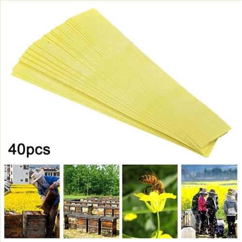 40 Strips Professional Acaricide Beekeeping Fluvalinate Bee Mite Varroa Killer Treatment Medicine Strip Supplies