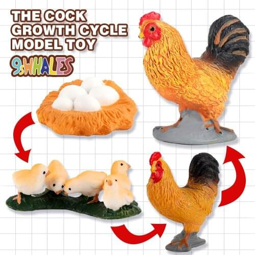 Educational Model Toy Simulation Animals PVC Roosters Growth Cycle Scene Design Simulation Powder Toy Decoration Gift