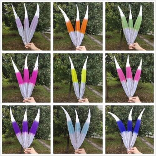 Pretty 10 Colors 100 pcs Natural Silver Pheasant Tail Feather 50-55cm/20-22inches Wedding Party Halloween Home Decoration