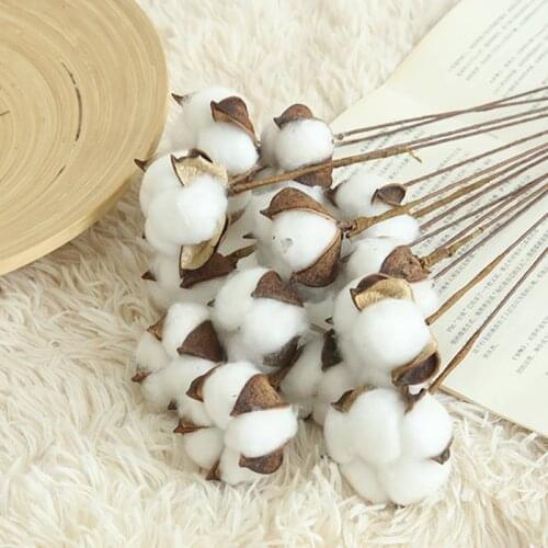 10pcs New Natural Cotton Branches Home Decoration Wedding Bouquets Natural Dried Flowers Artificial Flowers
