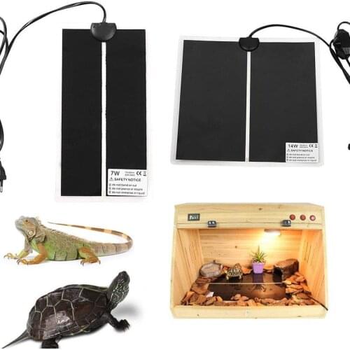 Pecute Terrarium Litter