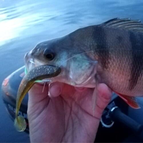 10pcs/Lot Soft Lures Silicone Bait 7cm 2g Goods For Fishing Sea Fishing Pva Swimbait Wobblers Artificial Tackle