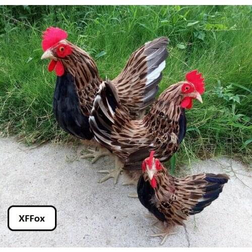 3 pieces a set simulation brown cock models plastic&furs real life chicken dolls gift about 24-41cm xf2060