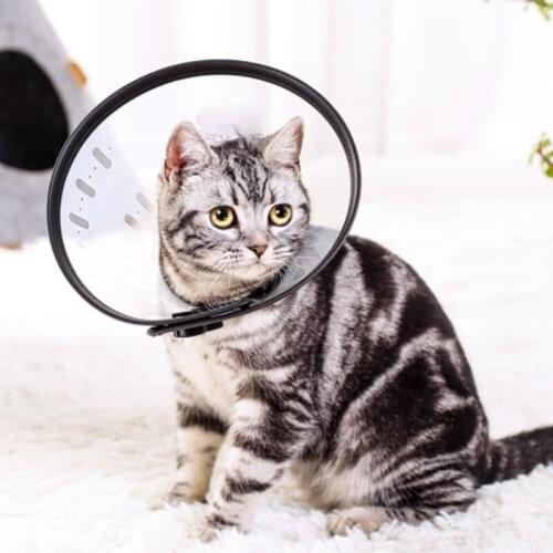 Anti-licking and biting dog collar method fighting collar cat Elizabeth pet headgear dog collars personalised dog collar