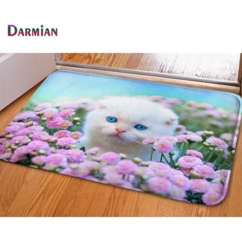 DARMIAN 3D Animals Persian Cat Print Floor Carpets for Living Room Bedroom Non-Slip Kitchen Mat Funny Front Entrance Door Carpet
