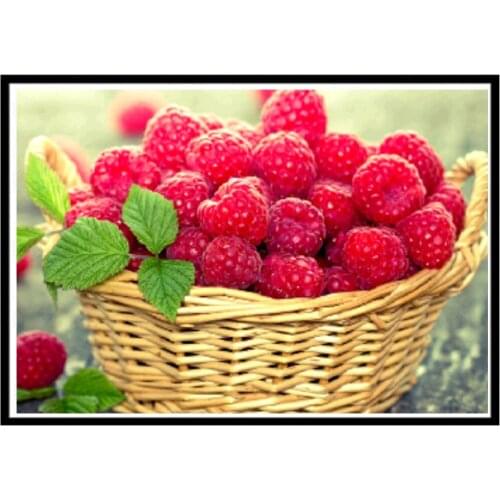 Rose Vase Flower Basket Printed Water-Soluble Canvas 11CT Cross Stitch Embroidery Complete Kit DMC Threads Jewelry