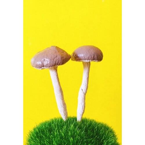 Whole sale~10 pcs miniature bread mushrooms/Christmas tree stickers/wreath/fairy garden/terrarium/handmade/balcony/toadstools