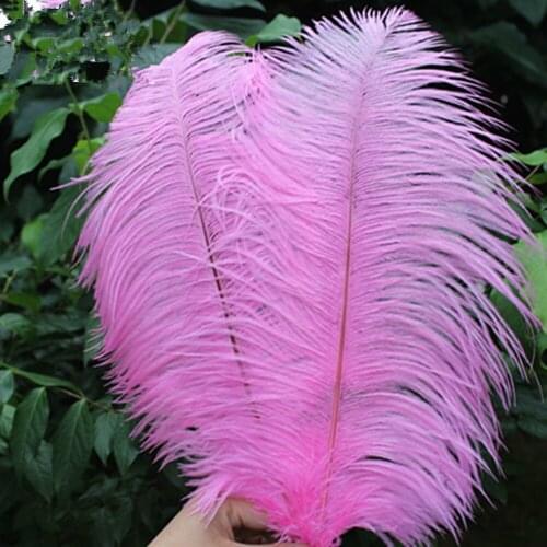 HOT! 50pcs/lot 50-55cm/20-22"pink ostrich feather plume wedding decoration black feather ostrich plumage Free shipping