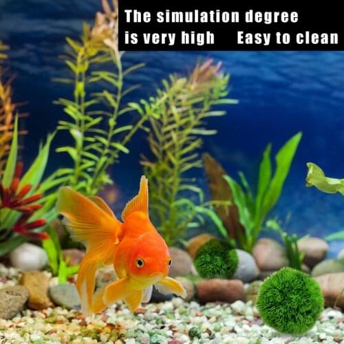 Marimo Moss Balls Environmental Green Seaweed Ball Fish Tank Ornament Decoration Aquarium Plant Fish Tank Nano Seaweed Ball