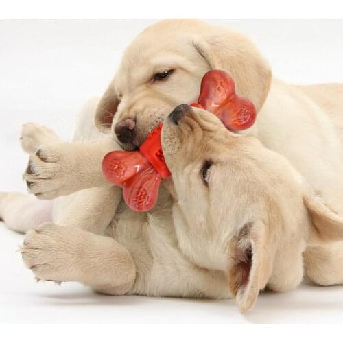 Nylon Rubber Dog Chew Toy Puppy Teether Chewing Bones Treat Toothbrush