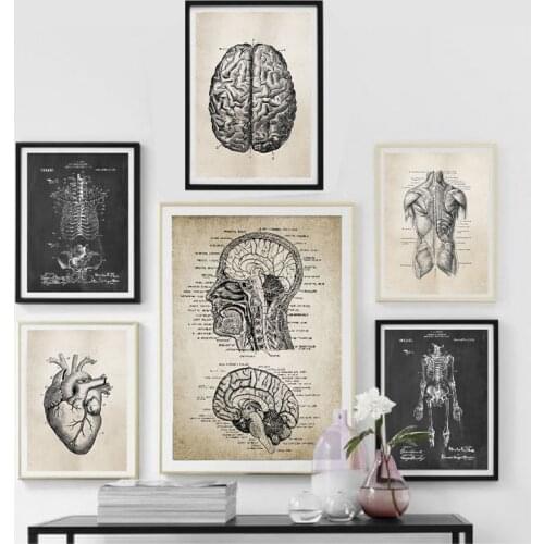 Anatomy Skeleton Patent Vintage Posters and Prints Medical Wall Art Print Canvas Painting Pictures for Living Room Home Decor