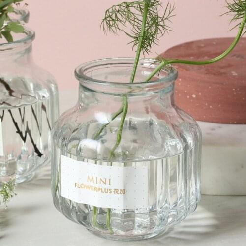 2 Pcs/Set Vase Glass Adornos Para Casa Decoracion Sala вазы для цветов для дома домашний декор Floreros Decorativos Moderno