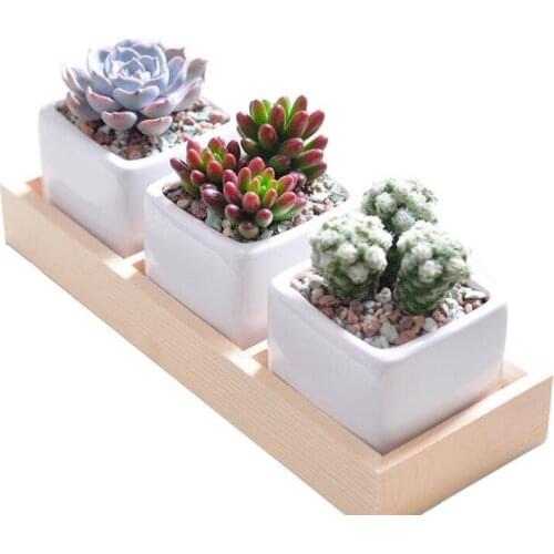 3 Grids Flower Pot Box Tray Wooden Succulent Plant Fleshy Flowerpot Containers Home Decor