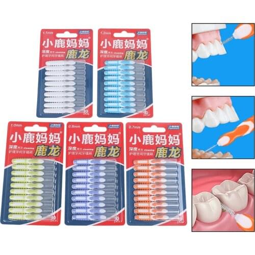 10pcs Dental Brushes Floss Pick Push-pull Toothpick For Adults Clean Between Teeth Cleaning Brushes Interdental Brush Cleaning