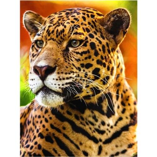Full Round DIY Diamond Painting Handsome Leopard Diamond Embroidery Cross Animals Rhinestone Home Decor