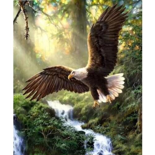 Full Square Diamond 5D DIY Diamond Painting "Soaring eagle" Embroidery Cross Stitch Rhinestone Mosaic Painting Decor