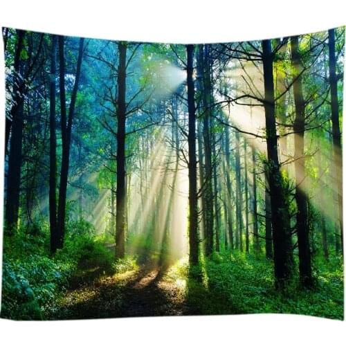 Nature and The Forest Enjoy This Visual Feast Home Decoration Tapestry