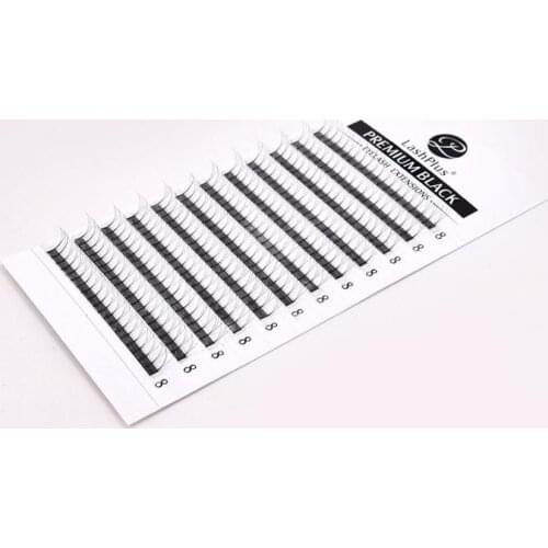 LASHPLUS Premade Volume Fans 3d/4d/5d/6d Lash Russian Volume Eyelash Extensions Pre made Lash Extension Faux Mink Lash