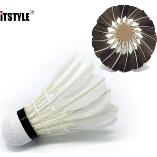 ITSTYLE Badminton Sets