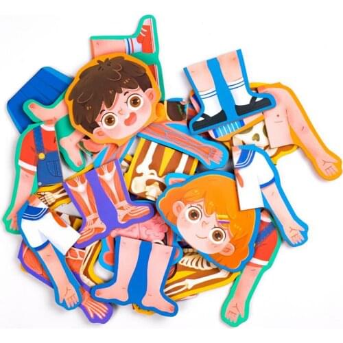 Wooden Human Body Structure Puzzle Toy Toddlers Kids Preschool Educational Tool