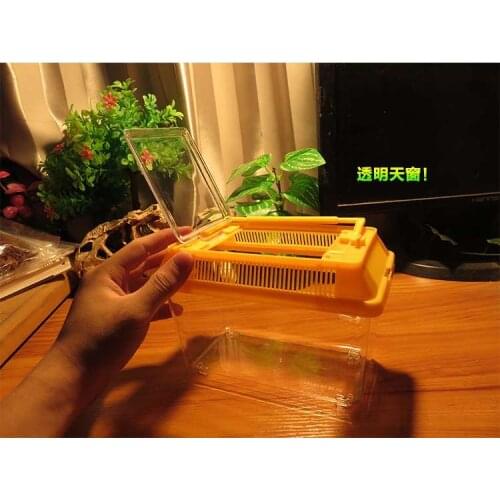Movement ability box Portable Reptile Feeding Spider Box Scorpion Larvae Catch Bird Insect Transport Grasping/movement Ability