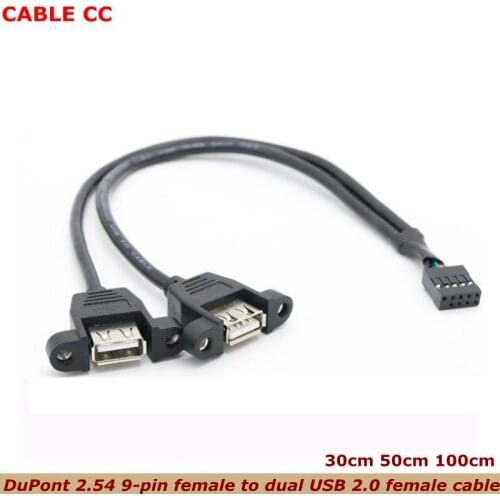 30cm Computer PCB Motherboard Chassis DuPont 2.54 9-pin Female to Dual USB 2.0 Master Tape Mounting Screw Hole Transfer Wiring