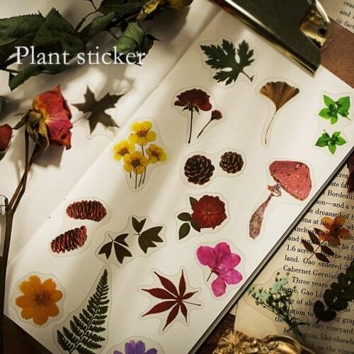 Plant PET Daisy Iris Ginkgo Flower Fallen leaves junkJournal Decorative Stationery Sticker Scrapbooking DIY Diary Album Stick