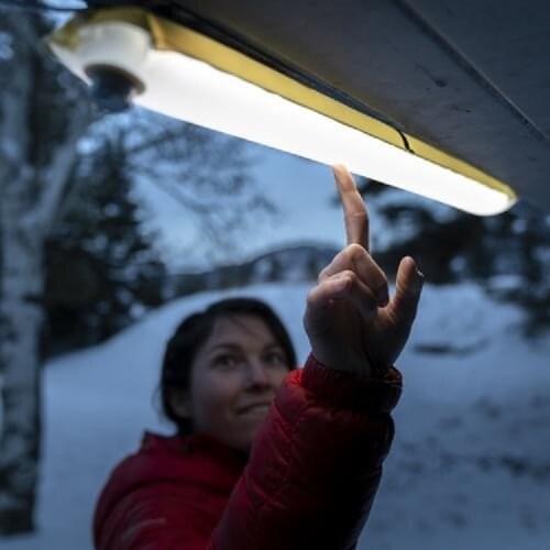 ZINTARLY LED Lightening