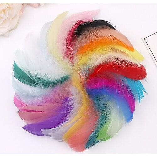 100pcs Natural Goose Feather 4-8cm Colorful Goose Down Feather Child Gift DIY Handmade Festival Stage Wedding Dress Decoration