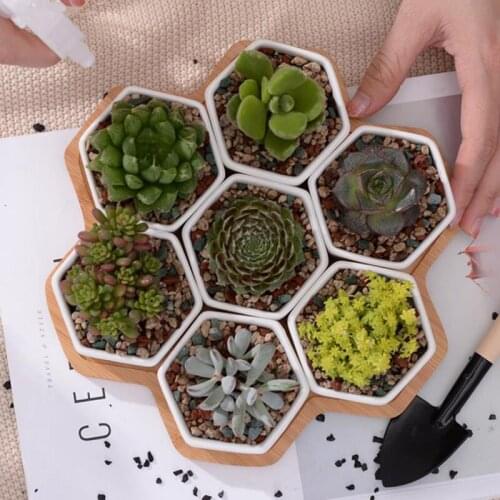 Ceramic Succulent Plant Pot Cactus Plant Pot Flower Pot bonsai Container Planter with Bamboo Tray Garden Decoration