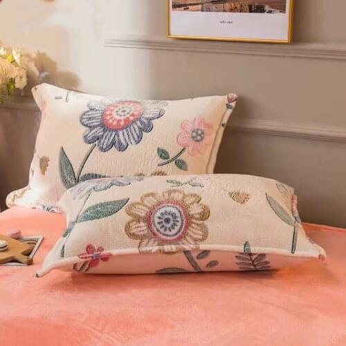 2020 New Polar Fleece Coral Pillow Case A Pair Of Winter Thickened Pillow Case Single Flannel Pillow Case Adults