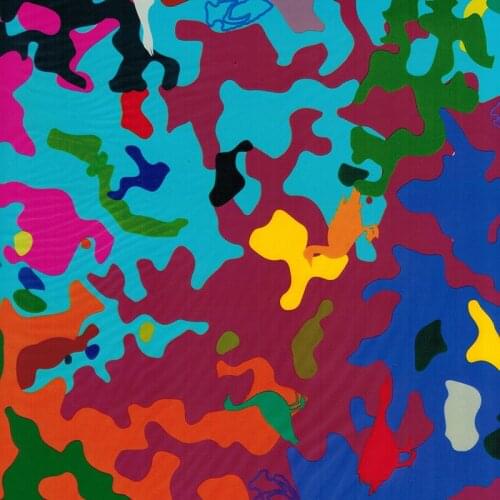 TSAUTOP Size 0.5m x 20m hydrographic film hydrographic transfer film WDF6730