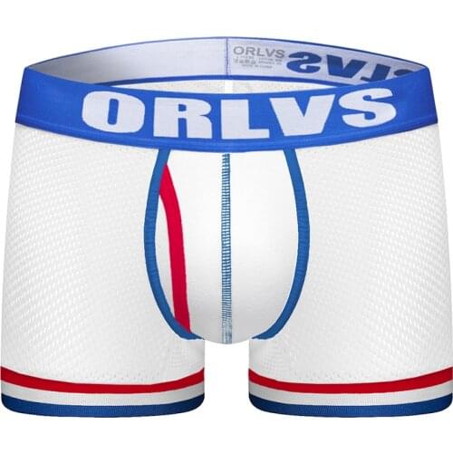 2020 ORLVS Brand New designed Brand Men Underwear Briefs Slip Mesh Shorts Cueca Gay men sexy Male panties Breathable OR799