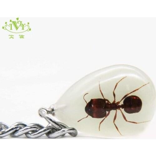 Mini Insect Water Drop Real Glow In The Dark Insect Ant Art Jewelry Key Rings Bag Charm Llaveros Para Hombre Custom Keychain IVR