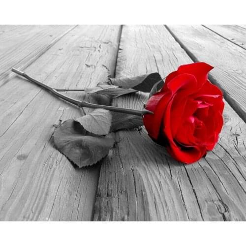 A15482 11CT/14CT/18CT/25CT/28CT night snowing patterns Counted Cross Stitch DIY Cross Stitch Kits Embroidery Needlework Sets