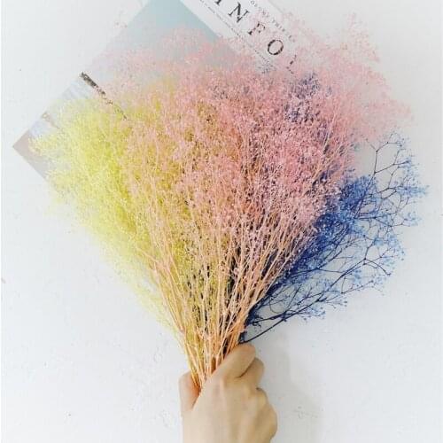 Preserved Babys Breath Artificial Gypsophila Dry Flowers Wedding Party Decoration Birthday DIY Photo Props Flower Head Branch