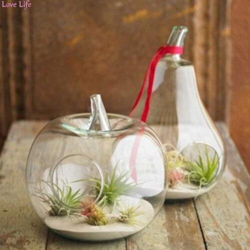 Hot Succulent Vase Ball Shaped Flower Glass Planter Plant Growth Cultivate Terrarium