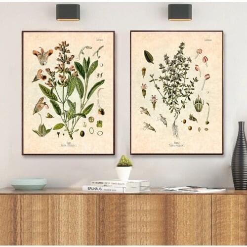 Spices Herbs Print Vintage Botanical Poster Parsley Sage Rosemary Thyme Culinary Wall Art Picture Painting Kitchen Decor