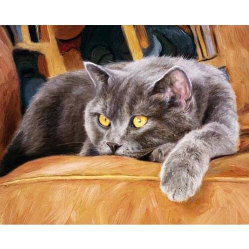 Cat Oil Picture By Number Frame 40x50 On Canvas Animal DIY Craft Kits For Adults Acrylic Paint By Number Home Decoration Wall Ar