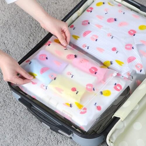 Waterproof Zipper Plastic Clothing Underwear Storage Socks Shoes Storage Travel Bag - 10 Piece
