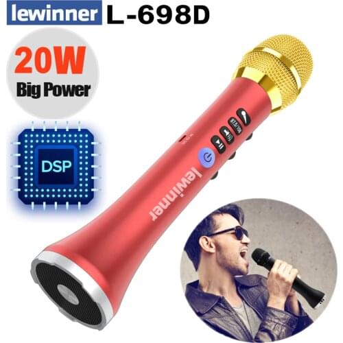 Lewinner L-698D 20W Handheld Wireless Microphone FM button connect upgrade karaoke speaker for Sing/Meeting