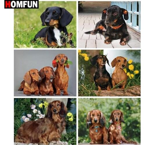 HOMFUN Diamond Painting Full Square/Round Diamond "Animal dog landscape" Pattern Embroidery Cross Stitch 5D Rhinestone Painting