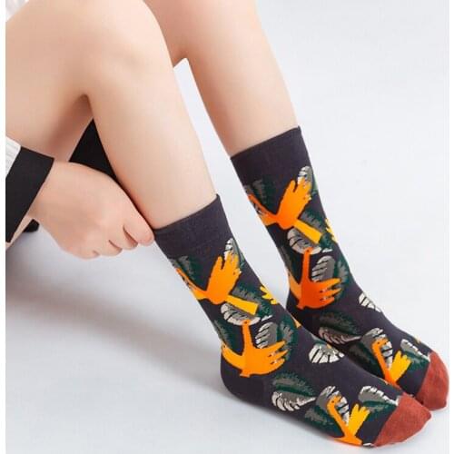 Hot Spring Gifts For The New Year Women Kawaii Mens Socks Fower Autumn Nature Animal Knitted Stockings Soft Funny Summer
