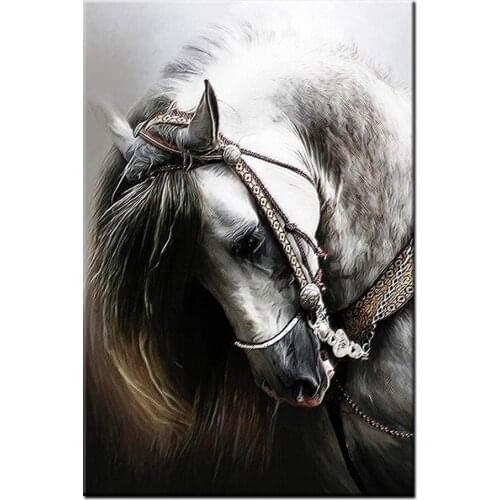 Animal Canvas Art Prints Horse Head Wall Art Canvas Painting Print For Living Room Drop shipping