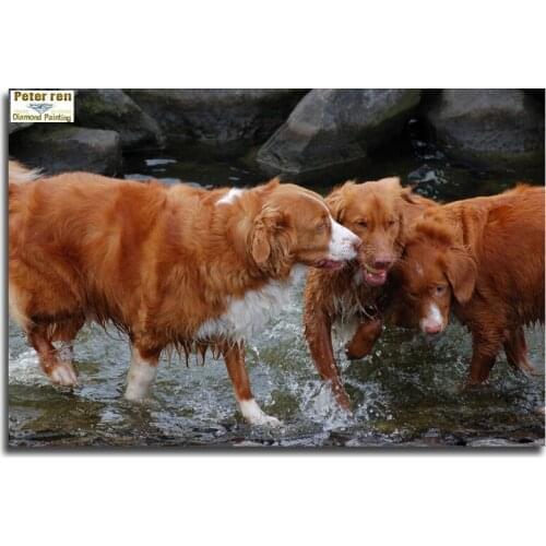 Diamond painting Vijver hond Diy Diamond embroidery dog 3D square Diamond Mosaic icon Full cover Furniture decoration afbeelding