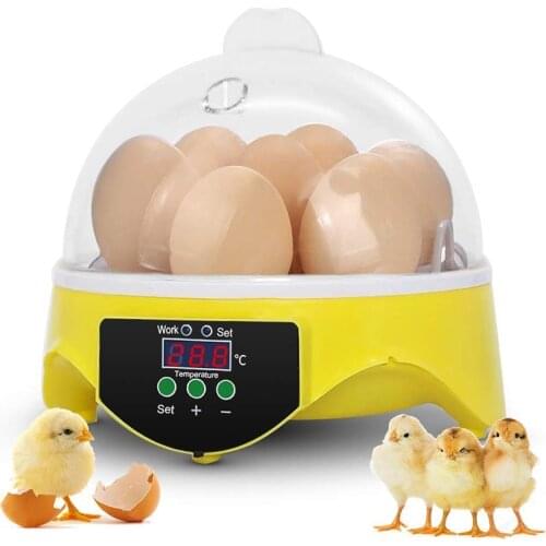 Eggs Incubators of Chickens Ducks Geese Birds Quail Parakeet Automatic Farm Incubators for Hatching Eggs