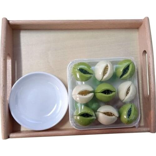 Montessori Cactus Clip Beads Games Early Educational Toys Cactus Storage Hand-Eye Coordination Training Educational Toys