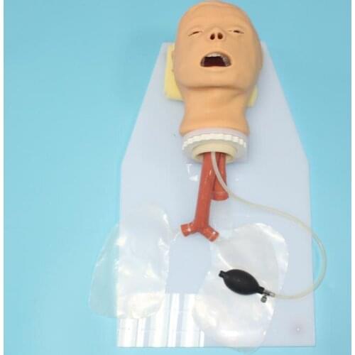 BIX-J50 Airway Training Model Trachea Intubation Training Model WBW359