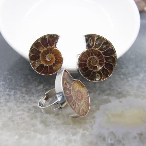 Natural Ammonite Fossils Adjustable Rings,Women Men Rings Jewellery,Fossil Specimen/Reiki Healing Snail fossil/Conch Rings